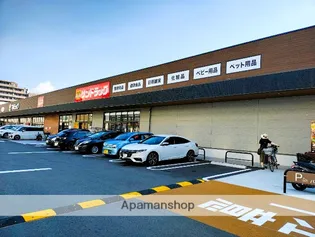 ハロー姪浜ビル【202号室】の周辺