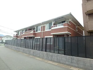 プラシード田村Dの画像