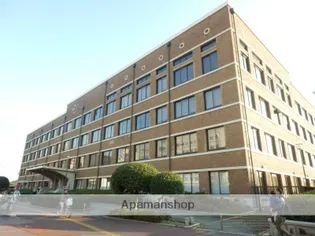 ナウヴィレッジ港【3階】の周辺