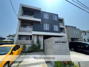 FORTIS藤崎弥生の画像