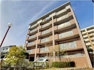 TAKA SUNRISEの画像