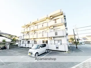 ルナリアスの画像