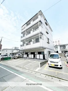 ドリームハウスの画像