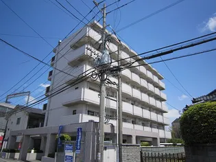 メゾン ド パラージュの画像