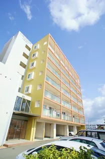 メルローズアソウの画像