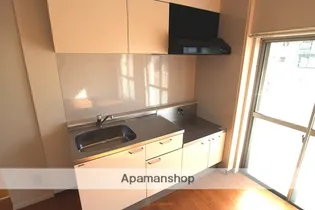 コンチェルト東合川Ⅱ【Ⅱ201号室】のキッチン