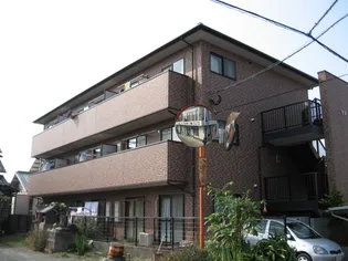 セルディアの画像