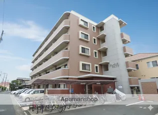 エレガンスマルフクの画像