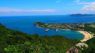 サン マリアン南風 A棟【2階】の周辺