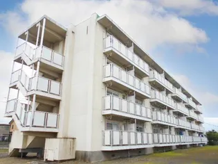 ビレッジハウス巣南1号棟【0204号室】の外観