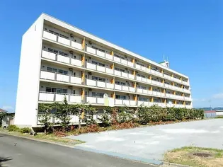 ビレッジハウス石鳥谷1号棟【4階】の外観