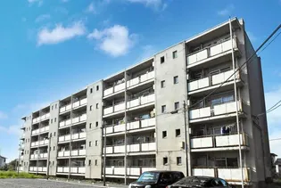 ビレッジハウス総和2号棟【3階】の外観