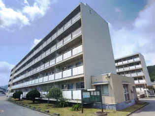 ビレッジハウス高知2号棟【0501号室】の外観