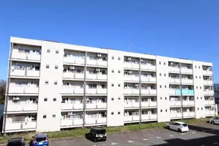 ビレッジハウス清水2号棟【5階】の外観