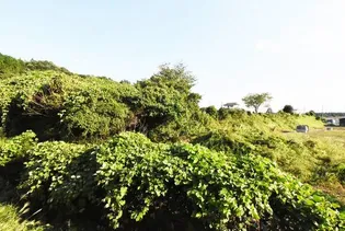 ビレッジハウス三美1号棟【0406号室】の内装