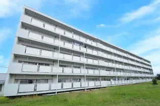 ビレッジハウス玉穂成島1号棟の画像