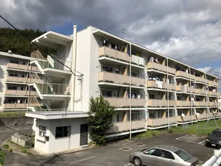 ビレッジハウス河内第二1号棟の画像