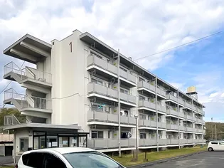 ビレッジハウス河内2号棟の画像