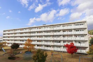ビレッジハウス江刺1号棟【5階】の外観