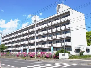 ビレッジハウス石渡2号棟【0502号室】の外観