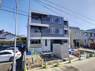 FORTIS藤崎弥生の画像