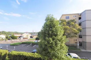 ビレッジハウス笹川8号棟【0402号室】の内装