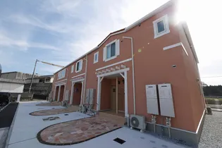 サンデリアーナ糒Aの画像