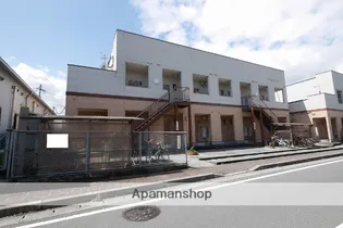 レディースピュアの画像