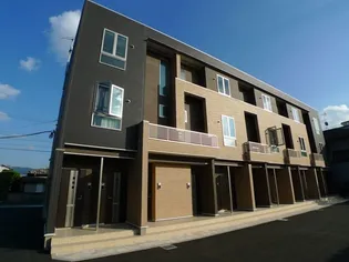 フォーエヴァー サンリッチの画像