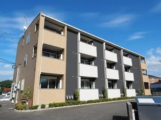 グレイス ワンの画像