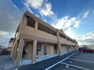 サザンクロスの画像