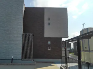 ミランダドラッヘンの画像