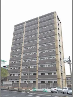 エヴァーグリーンRの画像