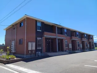 コスモスAの画像