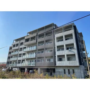 MERVEILLE ISHIDAの画像