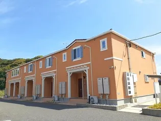 コスモス Lの画像