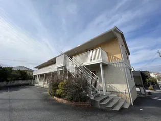 センターガーデンの画像