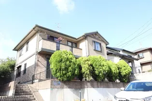 スターリーシェル オリオンの画像