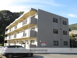 フローラル南部の画像