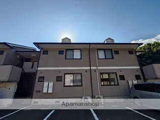 アンブレラトミナガBの画像