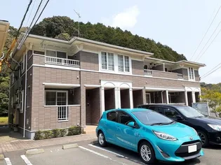 フォーリスト N Bの画像