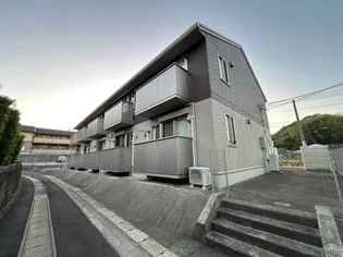 ヴィヴィアン有福2の画像