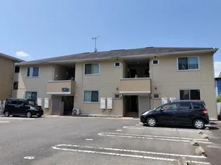 アネーロMの画像