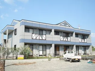 SAVORYの画像