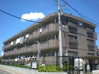 レオ・グランド山ノ神【2階】の外観