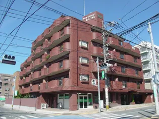 ライオンズマンション新大江第2【0203号室】の外観