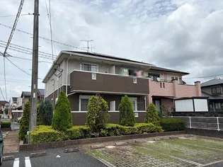 ミドルIIIの画像