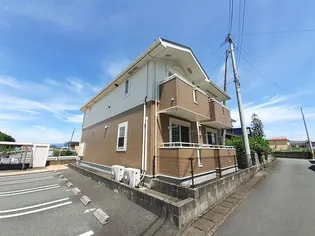 パンジーの画像