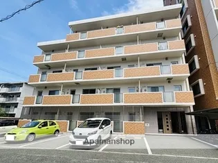 チアフルビューティ月出IIの画像