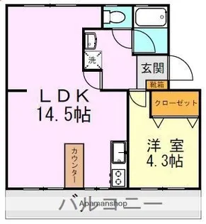 ピエーナ下南部【205号室】の間取り